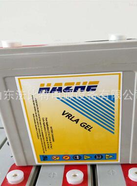 美国海志HZB2-100全新含税2V200Ah UPS不间断电源