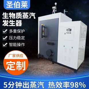 颗粒立式 固定炉排免监检蒸发器全自动智能工业蒸汽发生器厂家供应