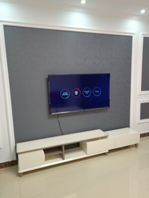 高口碑款TCL55T6M与东芝55U5850C哪个好用？大家说说真实内幕