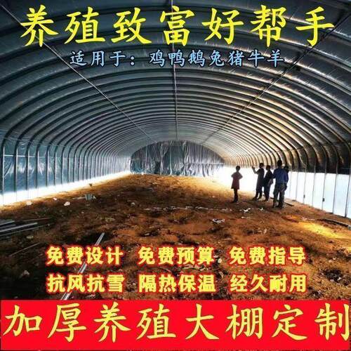 温室大棚骨架钢管蔬菜种植养猪场牛棚羊圈椭圆管养殖大棚配件全套