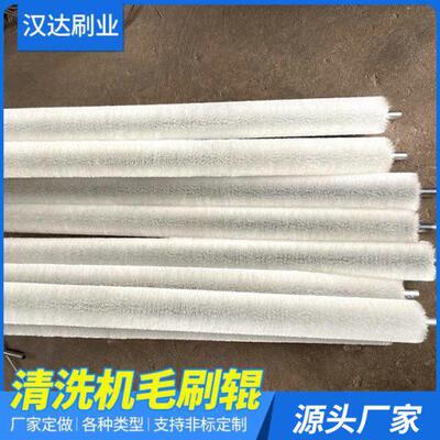 密度清洗机毛刷辊 蔬菜水果清洗刷辊 工业机械耐温尼龙丝软毛