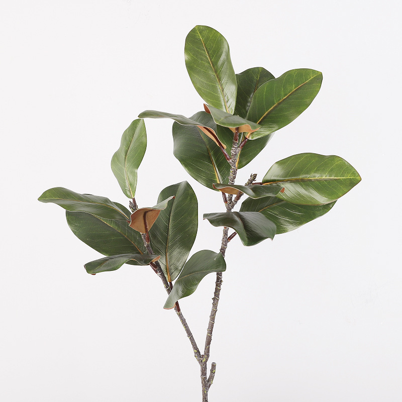 仿真玉兰植物 花瓶兰枝茶花摆件玉QH-55116 叶塑绿植胶花造景插花