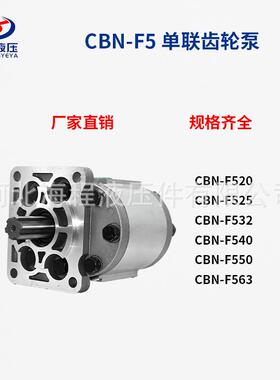 CBD-F5 CBN-F5 CBT-F5齿轮油泵 环卫车配套泵 排量20-80ml/r