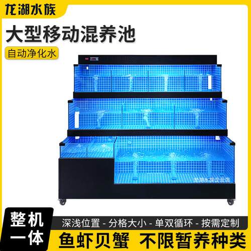 海鲜池商用制冷机一体饭店专用海鲜鱼缸超市水产移动海鲜缸贝类池