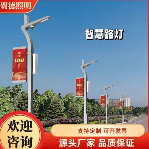 一体化智慧路灯城市多功能智慧灯杆监控照明气象监测智能充电桩物