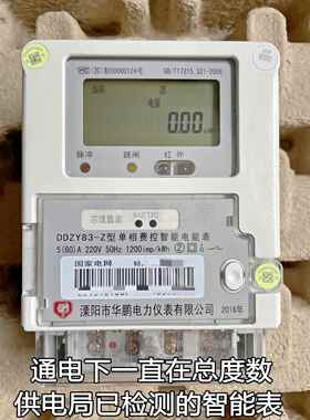 国家电网宁波三星电子式单相DDZY188智能电表60A出租房厂房功率表