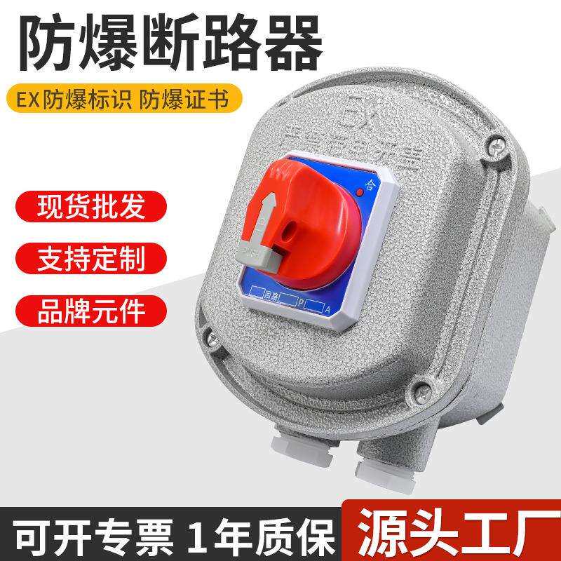 防爆断路器2P/3P 防爆空气开关10A25A32A63A 控制箱漏电保护空开
