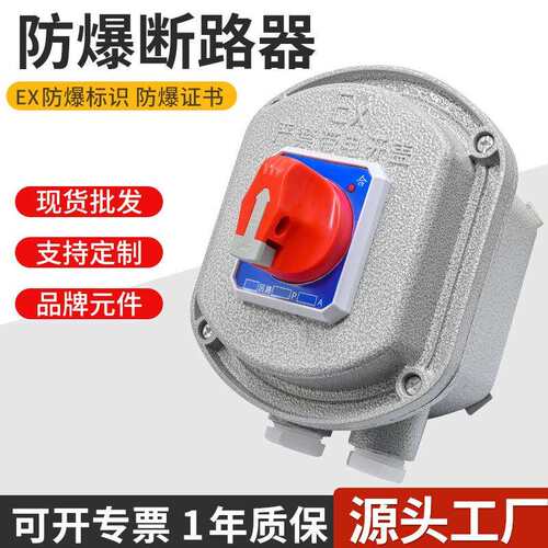 防爆断路器2P/3P 防爆空气开关10A25A32A63A 控制箱漏电保护空开