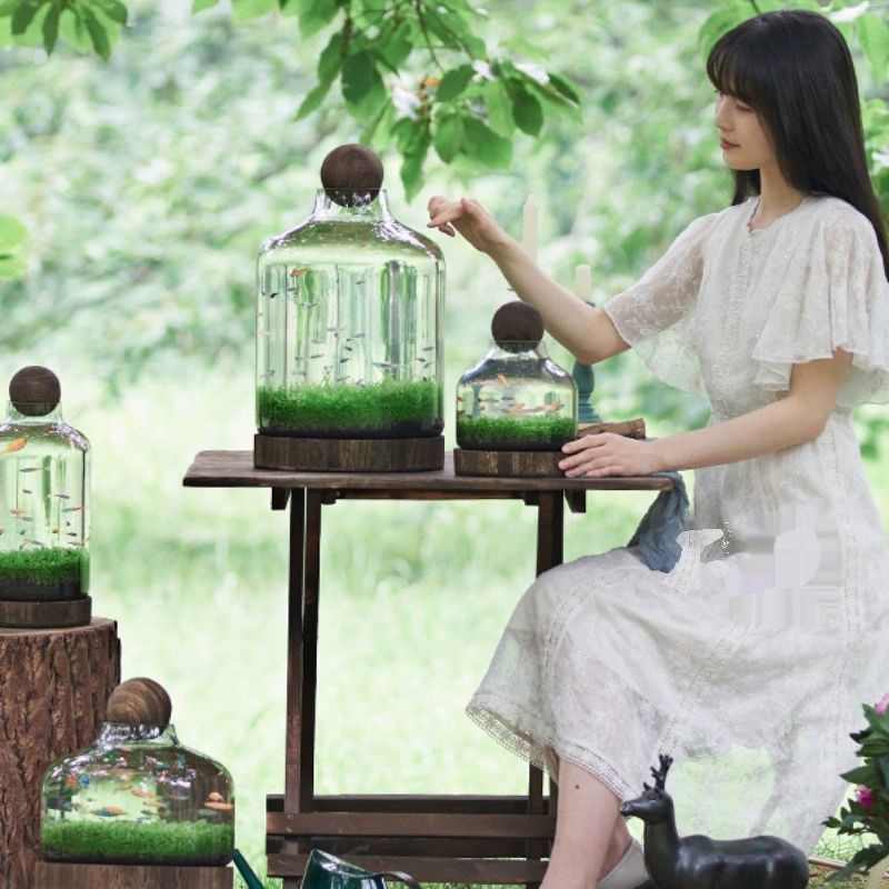 厂直销生态鱼瓶玻璃鱼缸微景观鱼虾水草自循环办公室迷你植物花瓶