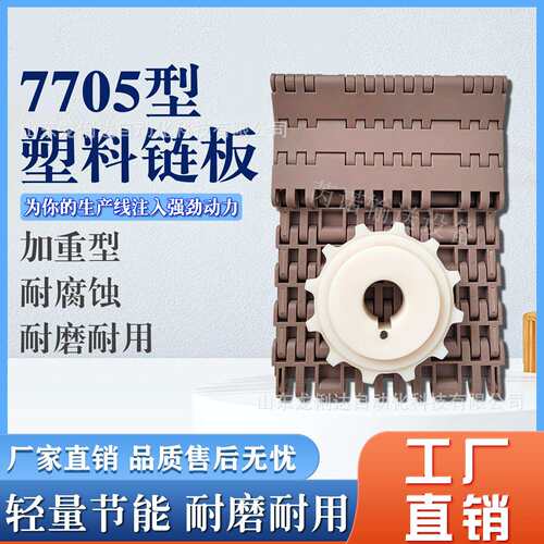 塑料链板输送带果蔬清洗流水线挡板式PP网带输送带尼龙链板传送带