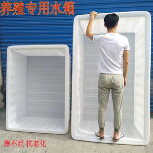 PE牛筋料养鱼箱塑料水箱水产养殖箱50 2000L加厚摔不烂方形周转箱