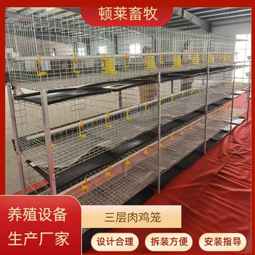 粪盘肉鸡笼立体式肉鸡笼三层弹簧门鸡舍养殖场镀锌丝加粗加密鸡笼