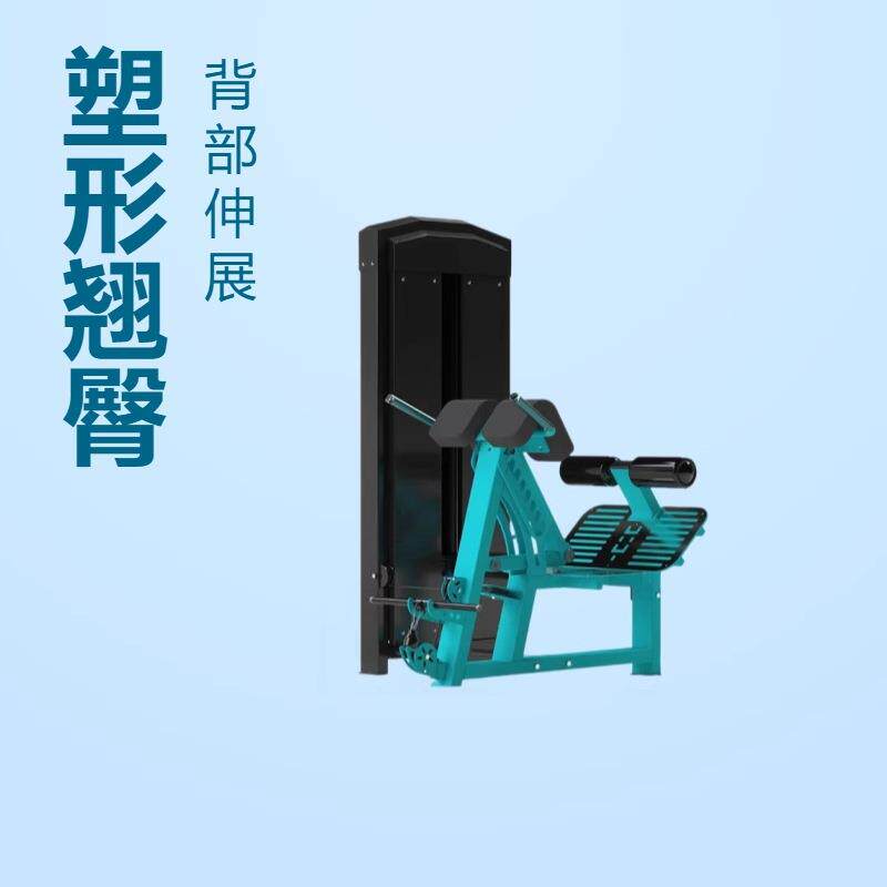 厂家供应背部伸展训练器商用健身器材背肌后压力量器械多功能