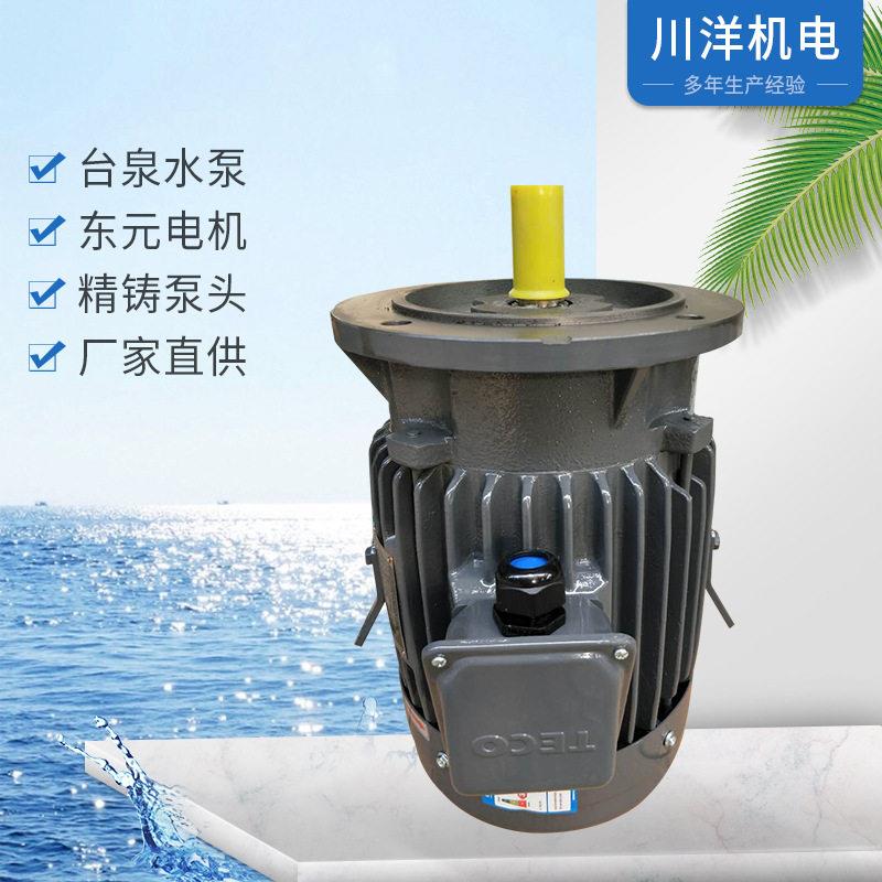 立式TECO东元电机EF2级2900转/分二级能效/三级能效厂家供应