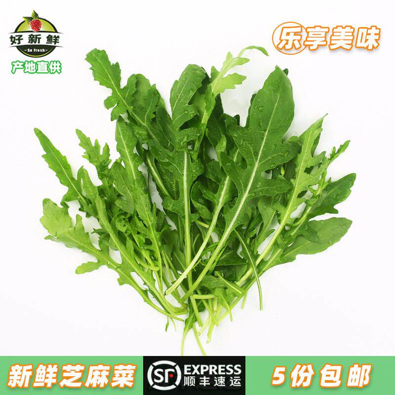 好新鲜芝麻叶菜火箭菜健身即食沙拉蔬菜西餐配菜摆盘搭配顺丰速运