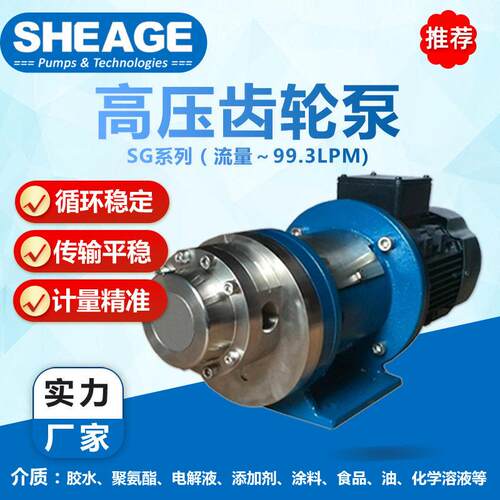 化工造纸17-4硬化钢压齿轮泵SHEAGE SG-M1S99EE0U030-CS水泵