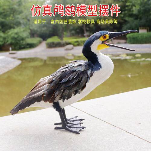 仿真鸬鹚鸟类摆件羽毛工艺品家居装饰桌面摆件布景道具装饰品鸬鹚