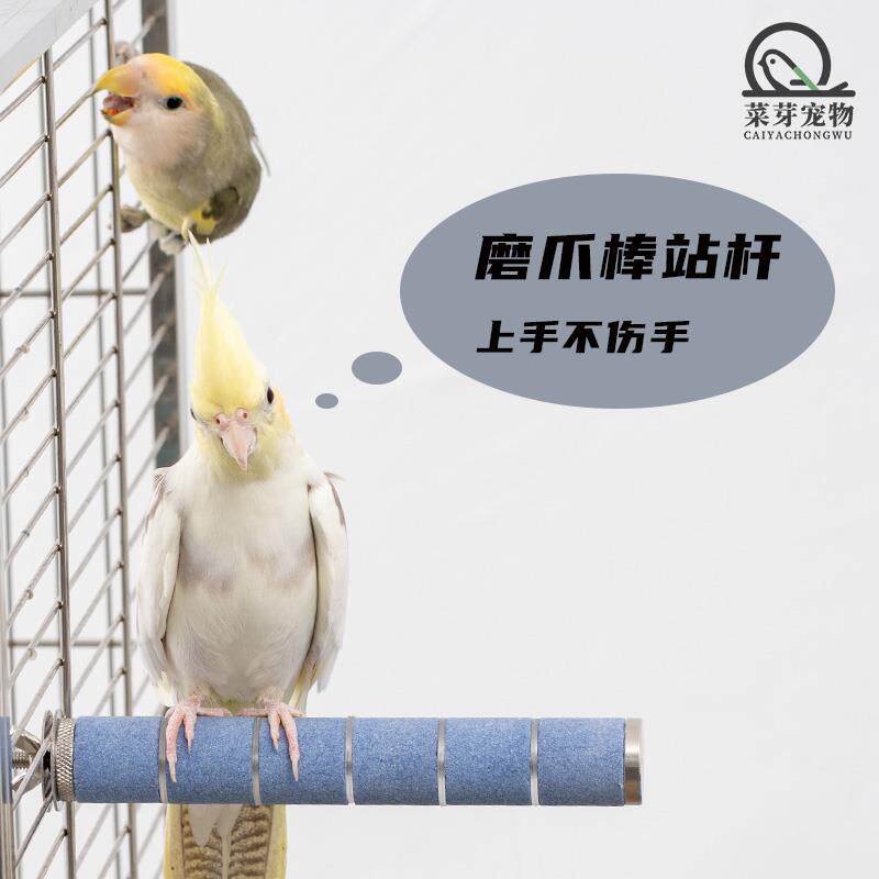 鹦鹉站杆磨脚磨嘴磨爪棒站棍鸟用品大全用具牡丹玄凤鹦鹉磨砂站杆