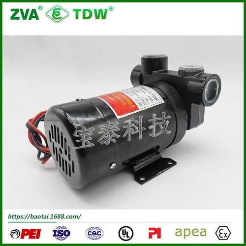 厂家直销加油机12V24V550w柴油电动油泵车载加油机电动油泵