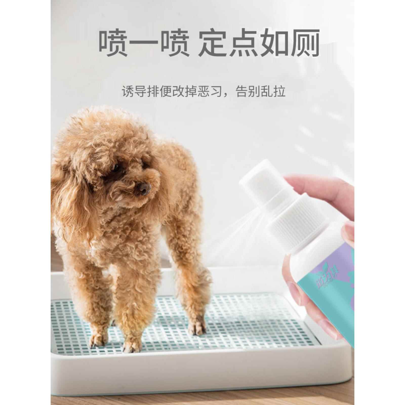 狗狗厕所诱导器，狗狗排尿定点撒尿，宠物排便训练，定位便便引导
