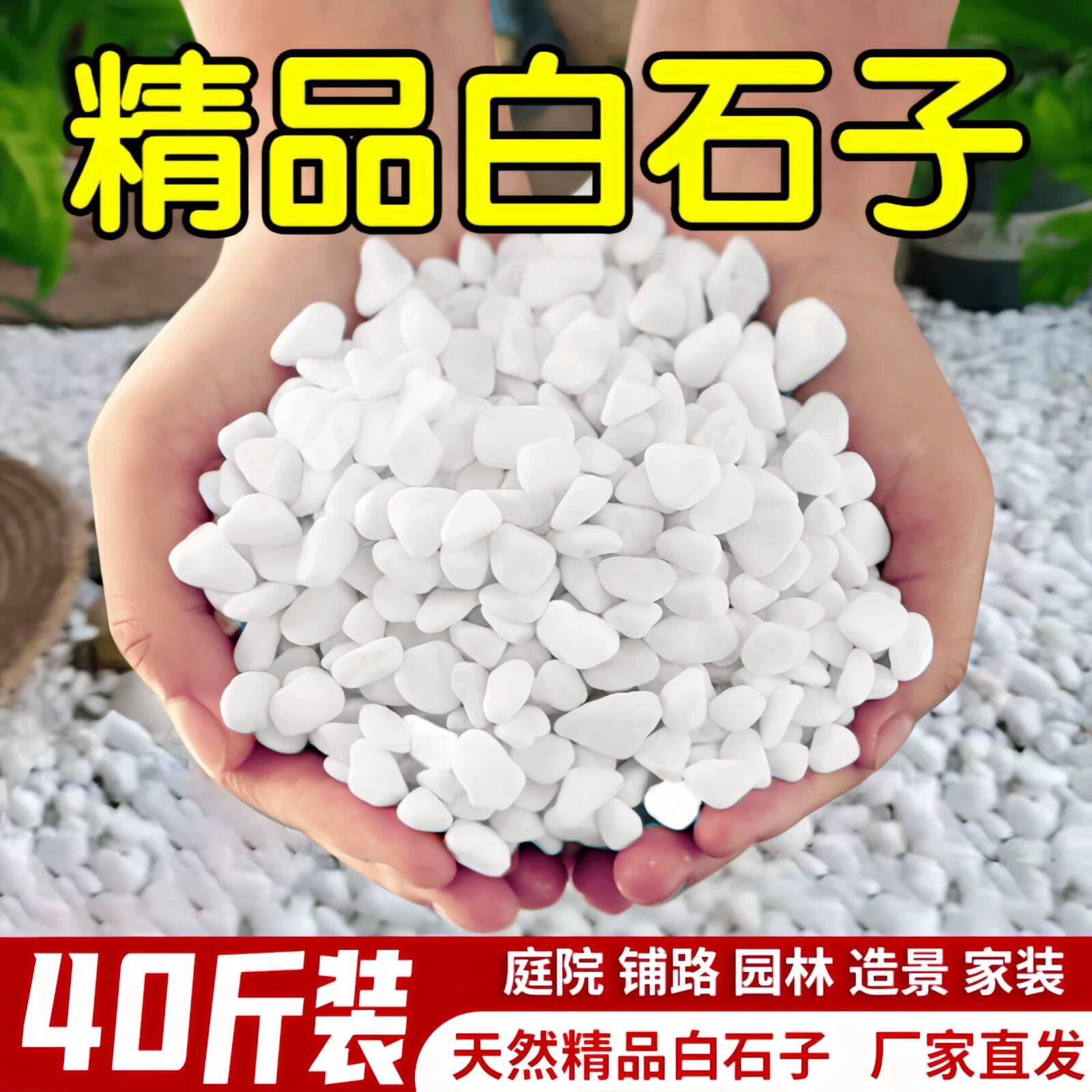 重庆白石子石头大鹅卵石庭院铺路铺地小白石头造景景观白石子