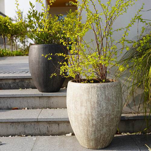 虹越嘉伯瑞凯瑟复古仿水缸塑料大号高款水生植物睡莲专用盆缸碗莲