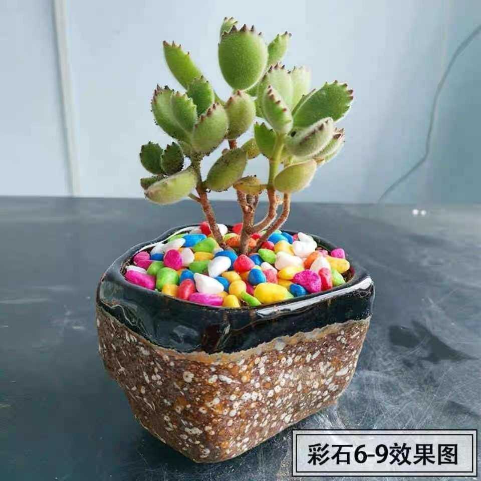 鱼缸 石头造景鱼缸鹅卵石彩色彩色五染色小石子彩石园艺