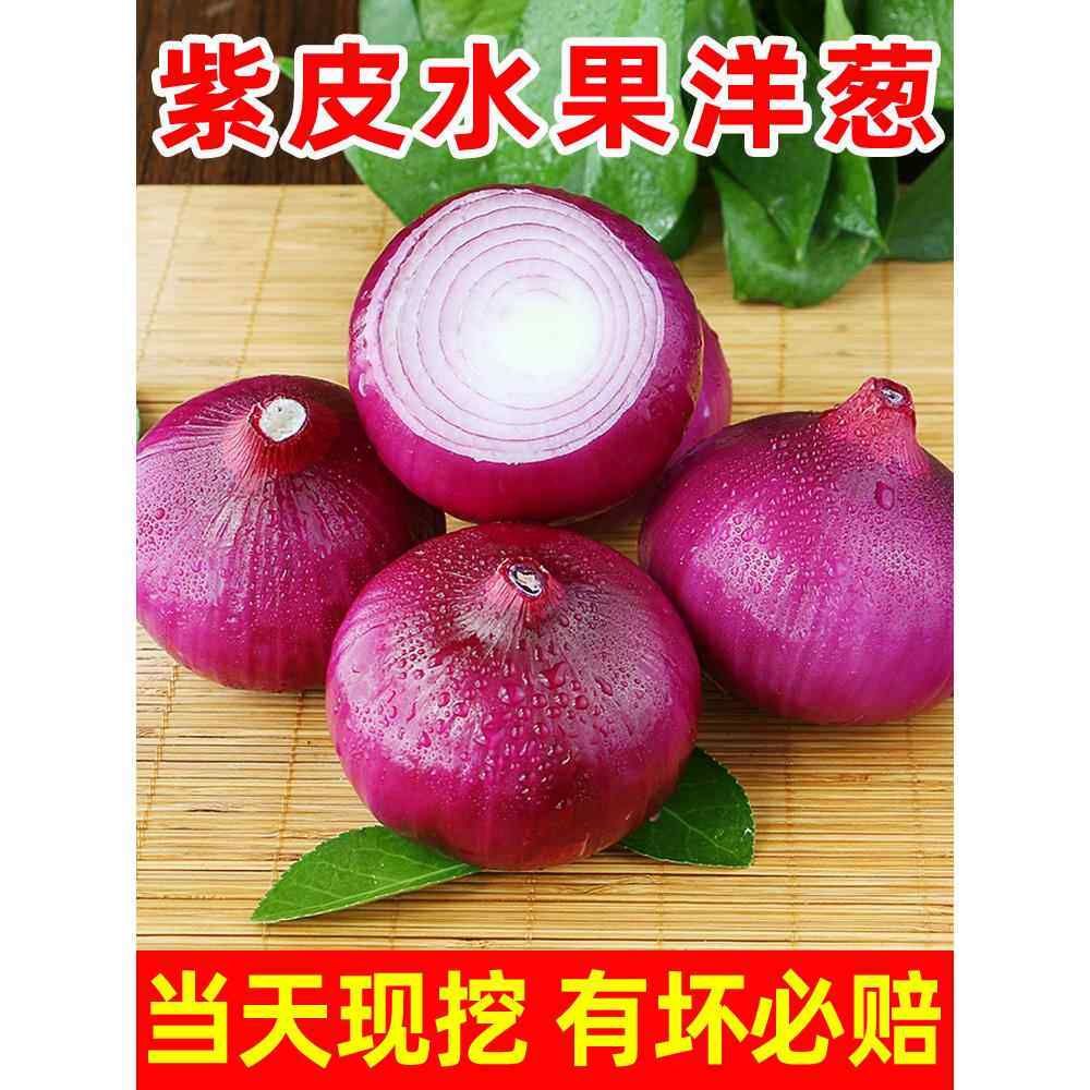 云南新鲜紫皮洋葱新鲜洋葱头生吃货农家自种蔬菜甜红皮圆葱