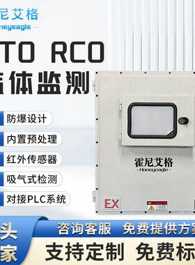 RTO可燃气体LEL浓度在线监测仪泵吸式管道有机废气RCO检测仪红外
