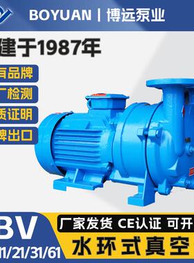 博远泵业2BV水环真空泵5110/11/21/31/61铸铁304水循环高效节能