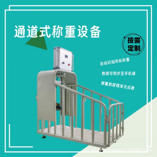 通道式称重设备牛羊规模化养殖场智能设备体积小易安装使用方便