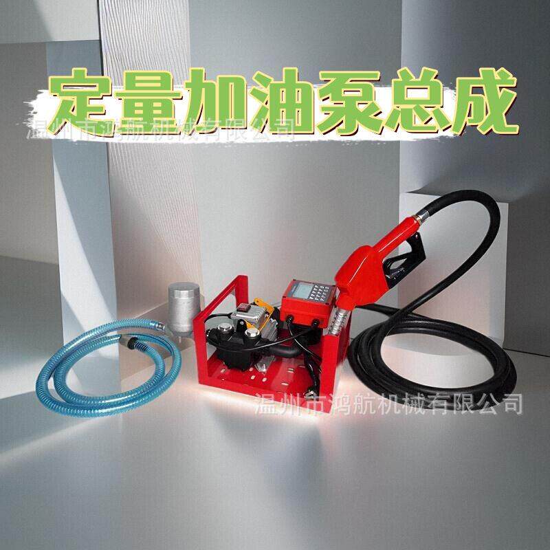 电动计量加油泵12V24V220V小型定量加油机大流量自吸抽油泵加注机