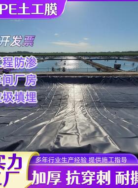 蓄水池土工膜mm黑膜人工湖景观池防渗膜水库堤坝抗老化dpe土工膜