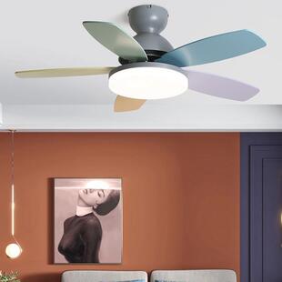 可爱彩色5叶吊扇灯吸顶风扇灯儿童房餐厅带灯风扇吊灯家用吊扇灯
