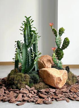 彷真仙人掌造景商场楼梯下室内沙漠植物橱窗拍摄道具场景装饰摆饰