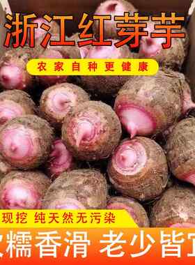 浙江金华现挖红芽芋头新鲜农家软糯小芋头仔农产品红梗芋艿5/3斤