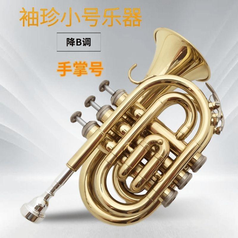 卡尔沃斯袖珍小号专业手掌号