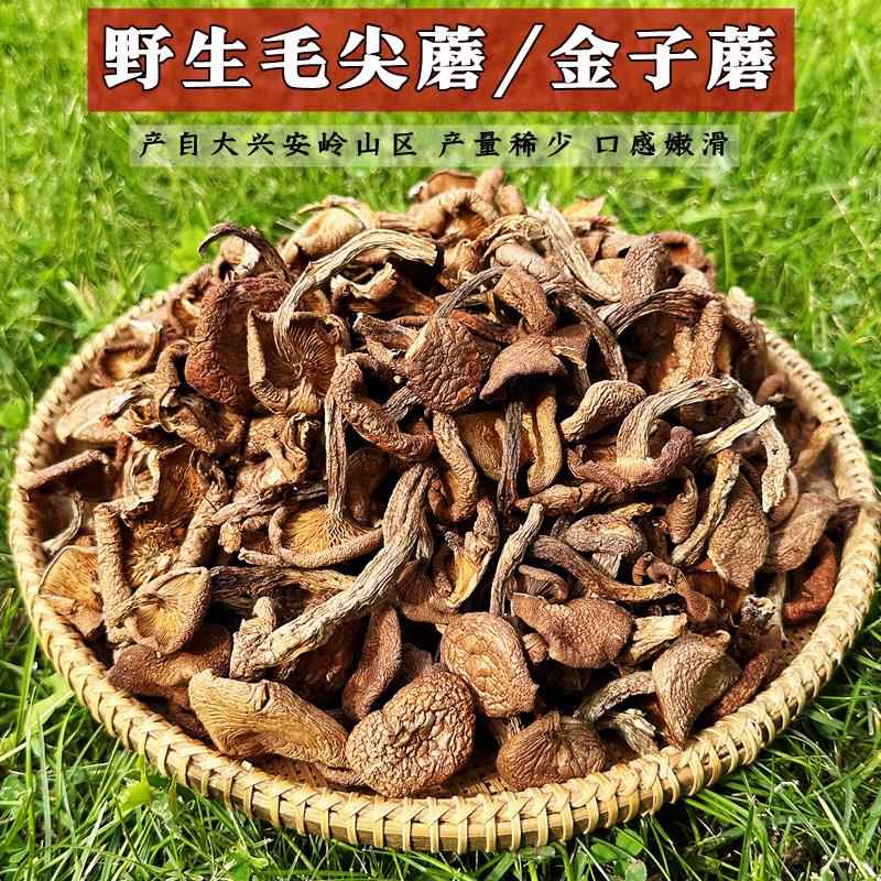 东北野生红毛尖蘑菇黄金蘑金子蘑菇干食用菌香菇煲汤食材干货特产
