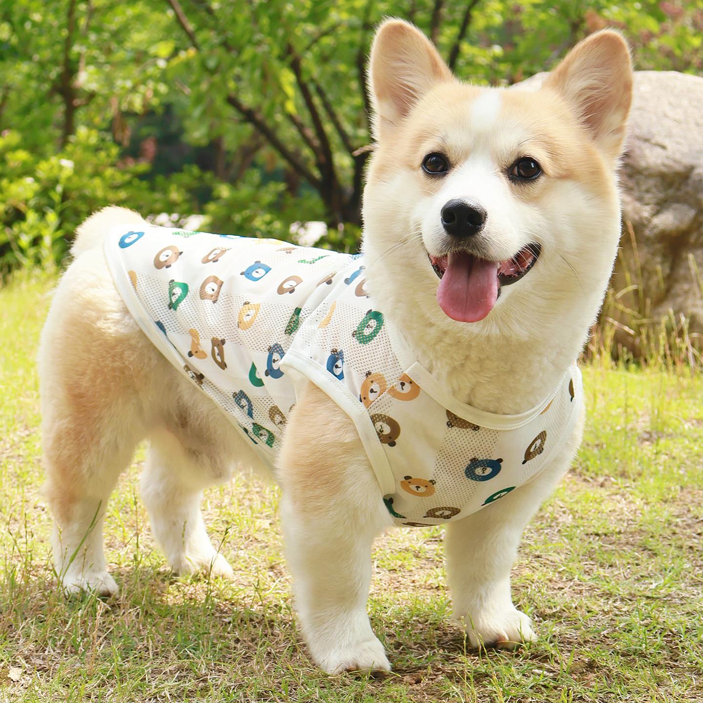 柯基柴犬狗狗凉凉衣服春夏季薄款透气网眼背心防掉毛防晒防脏马甲
