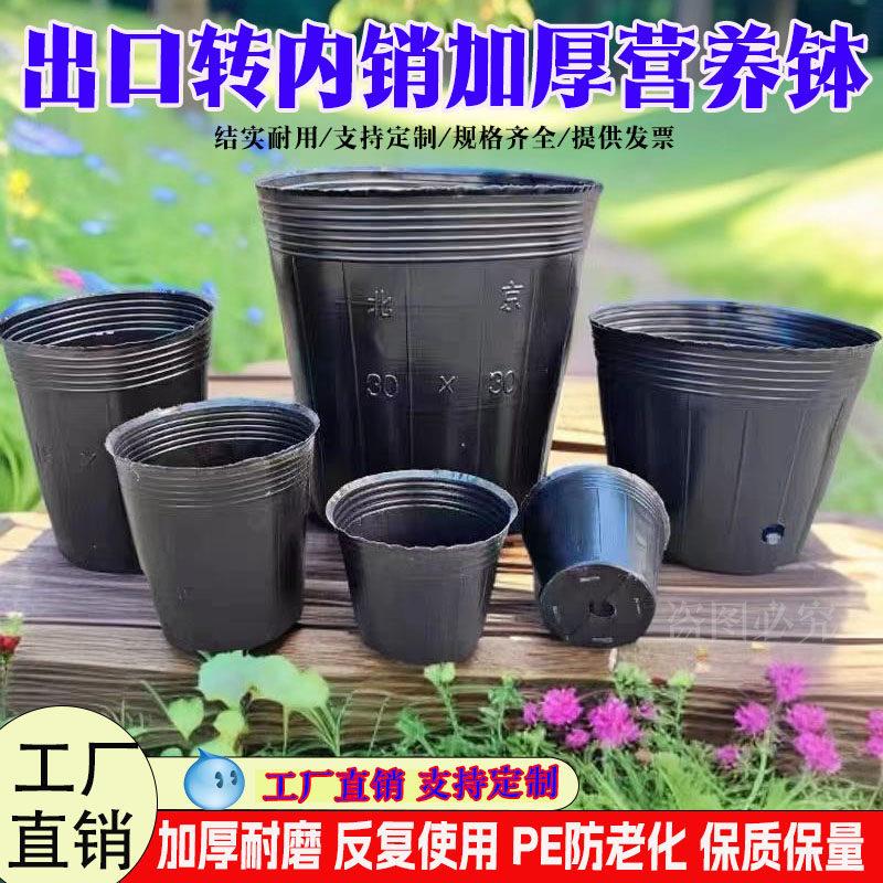 营养钵营养杯育苗杯 育苗营养袋 加厚育苗钵 育苗盆黑色厂家直销