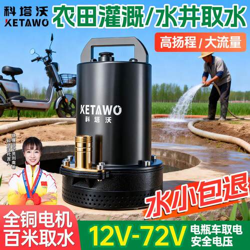 电瓶车专用抽水泵12V48V60V72V农用灌溉家用小型大功率深井潜水泵