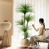 龙血树仿真绿植龙须树龙铁树客厅装 饰室内大型假植物盆栽落地摆件