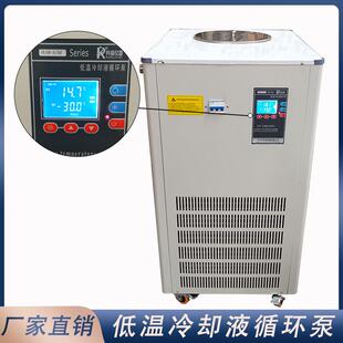 循环水制冷机 巩义低温冷却液循环泵DLSB系列实验室用开放式