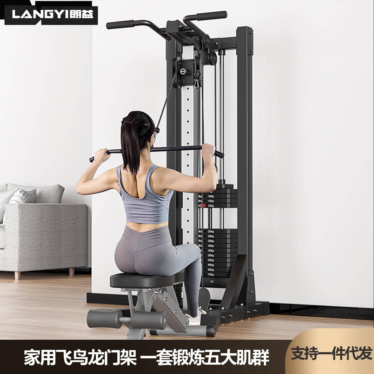 小飞鸟龙门健身家用多功能一体高位拉训练器综合健身器材飞鸟朗益