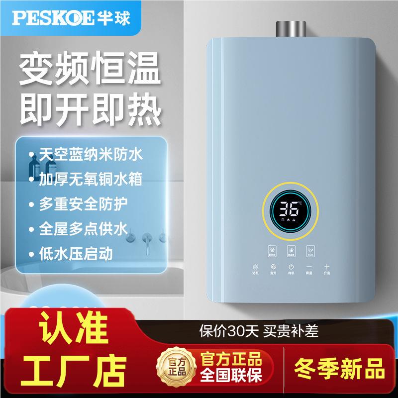 半球燃气热水器家用液化气即热式12升16升天然气煤气速热式出租房