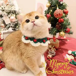 猫咪狗狗围脖围兜宠物圣诞饰品针织围领布偶英短可爱泰迪比熊蓝白