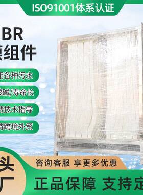 源头工厂MBR浸没式帘式膜 0.1μm过滤PVDF膜丝 污水处理工程用