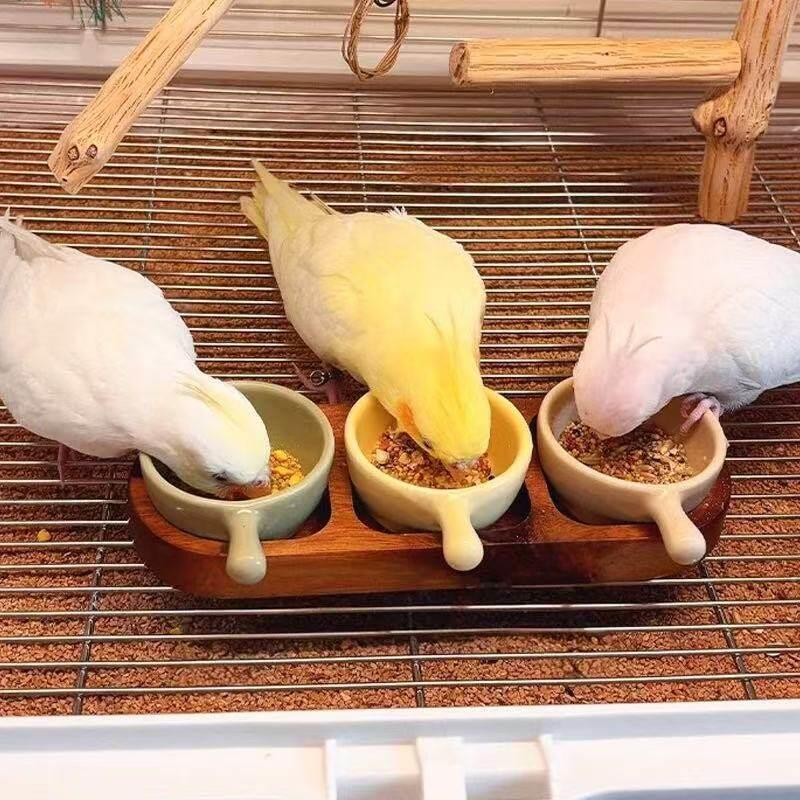 鹦鹉食盒陶瓷鸟用食罐食碗粮食饲料盆虎皮牡丹玄凤鹦鹉鸟饲料盆