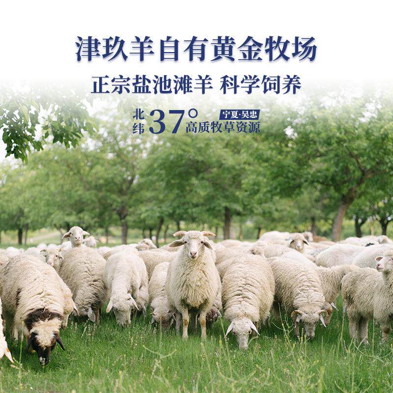 宁夏盐池滩羊密齿羔羊白条羊羊胴体全羊整只羊带尾巴烧烤火锅食材