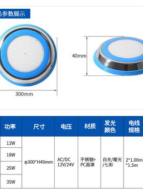 12低压不锈钢泳池灯树脂8灌胶防v水IP6水下灯壁挂LDLX-YC30式ED七